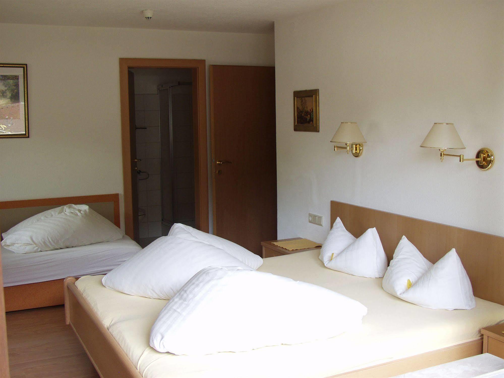 טוקס Appartements Steinbock - Ski-In & Ski-Out מראה חיצוני תמונה